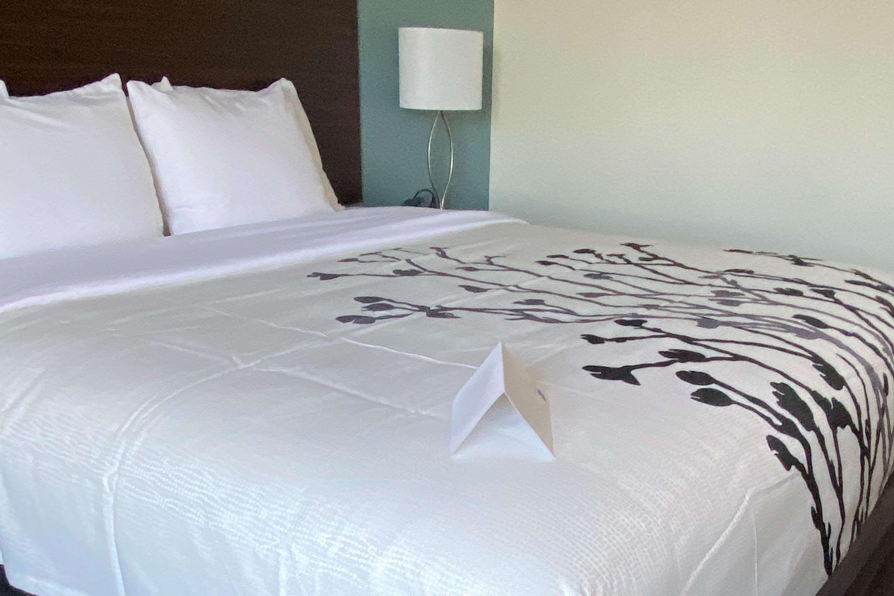 Hotel Wingate By Wyndham Kings Bay Naval Base I-95 à Kingsland Extérieur photo